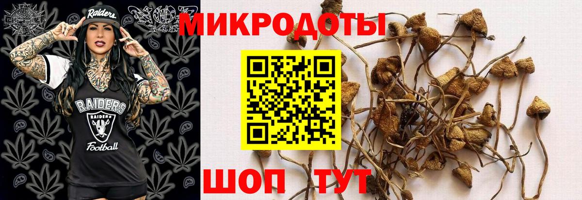 Псилоцибиновые грибы мухоморы  Вход с VPN  Галлюциногенные грибы MAGIC MUSHROOMS  Усть-Илимск 