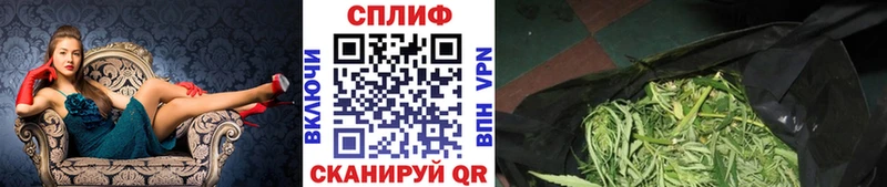 Бошки Шишки конопля  Усть-Илимск 